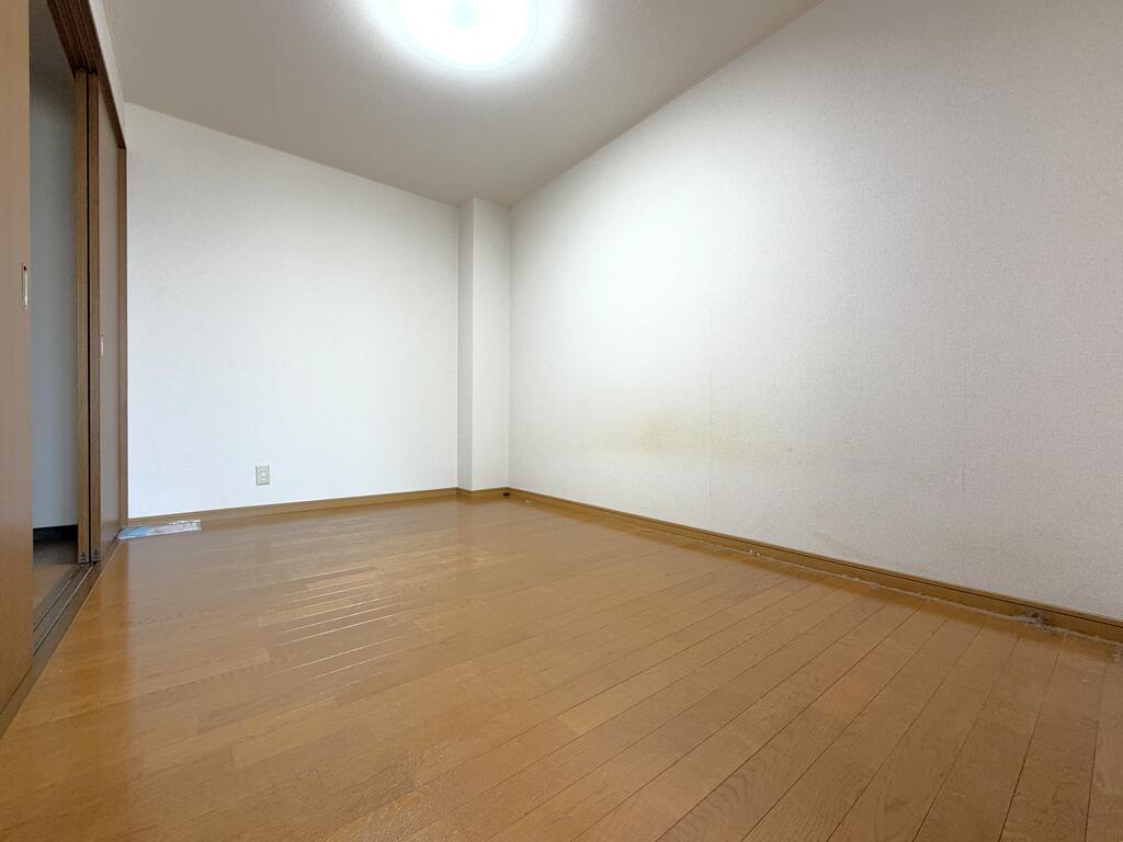 セレナーデのその他写真