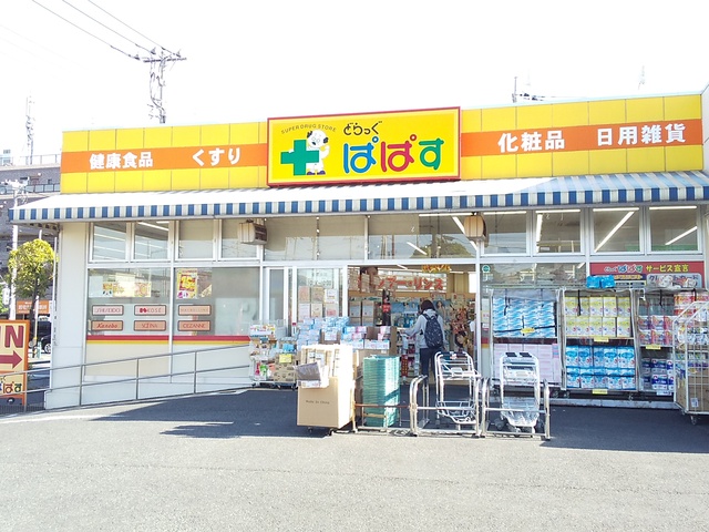 ドラックストア　どらっぐぱぱす島根店（ドラッグストア）まで260m