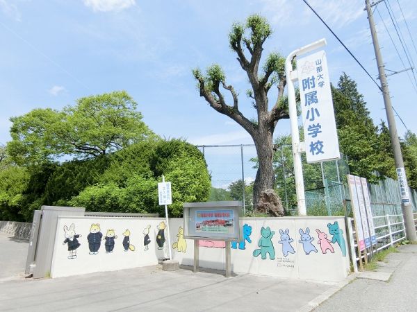 【カーディナルSの小学校】