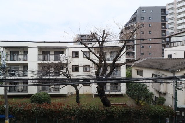 【渋谷区富ヶ谷のマンションの眺望】