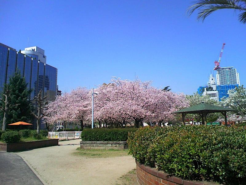 【大阪市中央区内淡路町のマンションの公園】