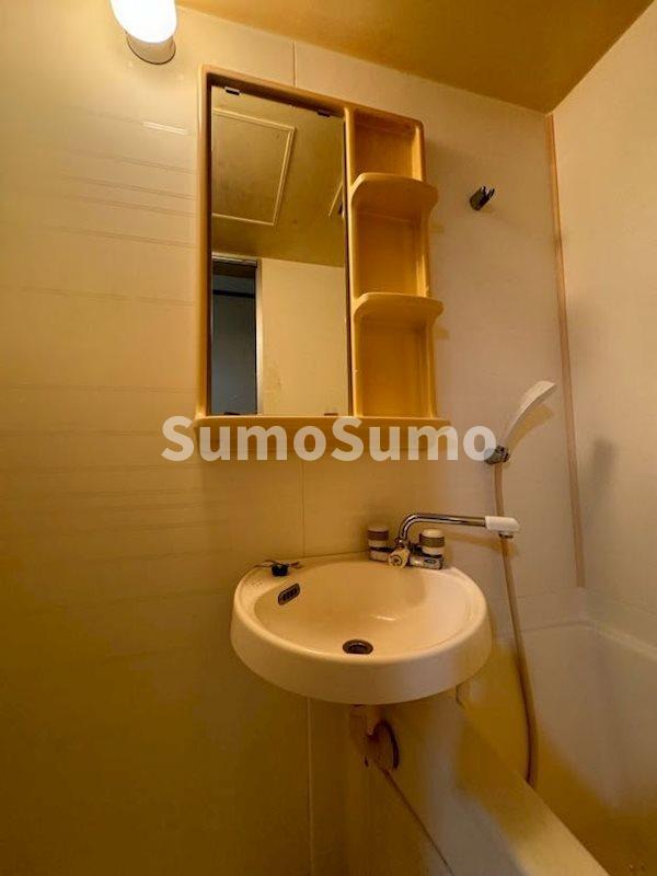 洗面設備　独立洗面台あり、毎朝おしゃれに忙しい女性の方におすすめです