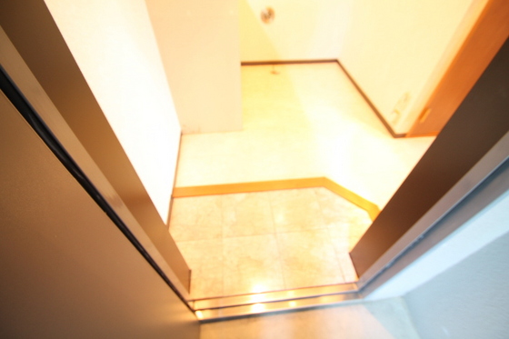 玄関　※別部屋の写真を掲載しております。ご了承ください。