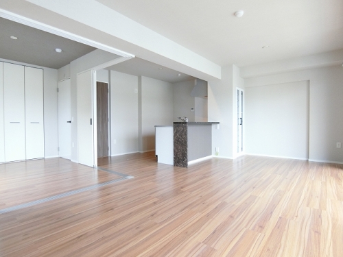 収納　建設中の部屋の為、類似物件です。現状を優先とさせて頂きます。