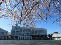 小学校　安西小学校（小学校）まで581m