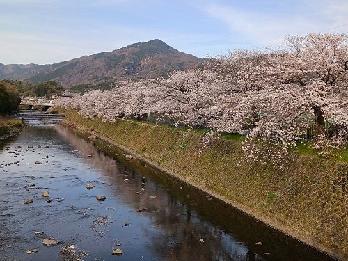 その他　鴨川（その他）まで100m