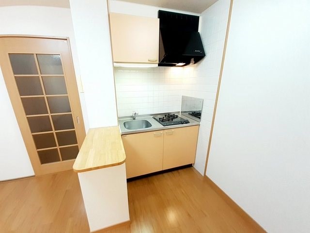 キッチン　コンロも2口付です。