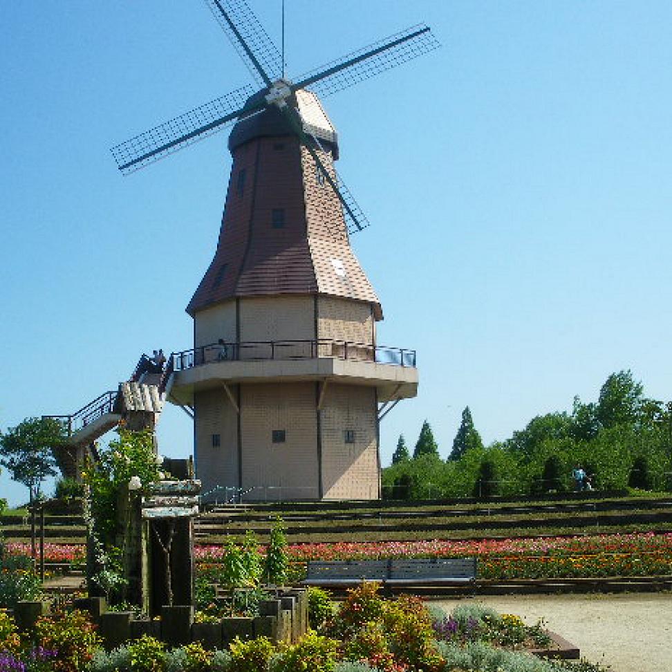 公園　霞ヶ浦総合公園（公園）まで990m