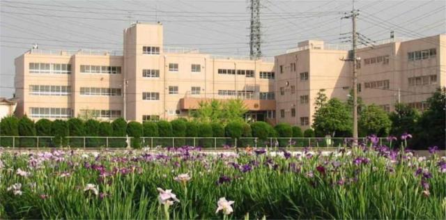 小学校　越谷市立宮本小学校（小学校）まで197m