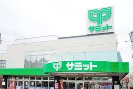 スーパー　サミットストア志村店（スーパー）まで511m