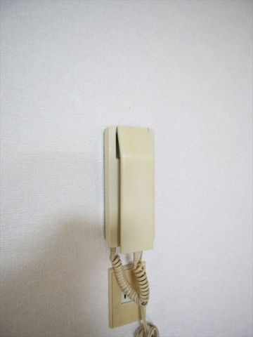 セキュリティ　インターホンあります