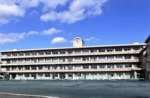 中学校　塚沢中学校（中学校）まで736m