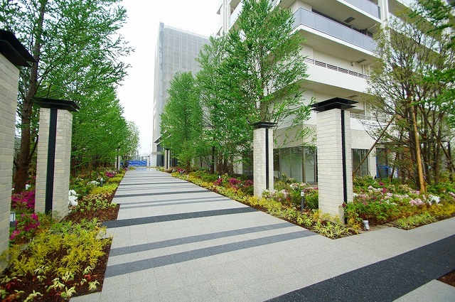 その他　並木あるエントランス