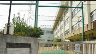 小学校　菊川小学校（小学校）まで239m