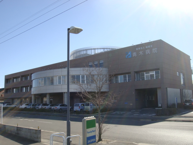 その他　医療法人柏成会青木病院（その他）まで1174m