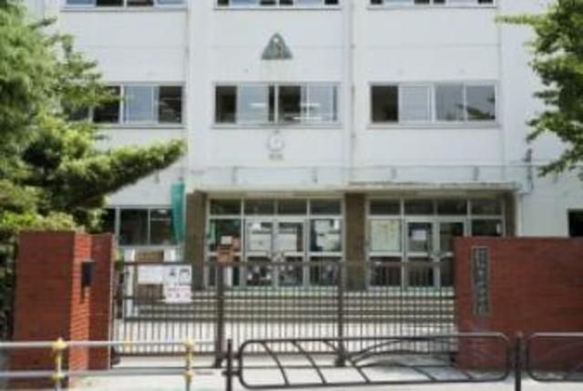 中学校　青戸中学校（中学校）まで599m