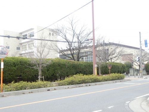 小学校　行田市立南小学校（小学校）まで345m