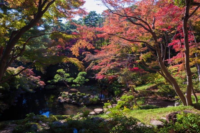公園　殿ヶ谷戸庭園（公園）まで648m