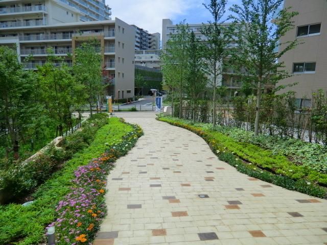 庭　緑溢れるアプローチ