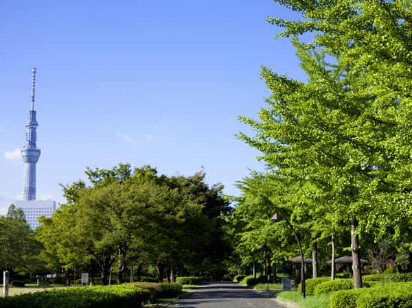 公園　都立猿江恩賜公園南側入口（公園）まで457m