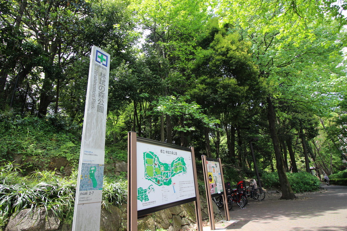 公園　林試の森（公園）まで374m