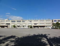小学校　立川市立柏小学校（小学校）まで429m