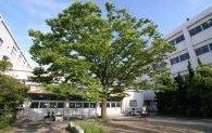 中学校　草津市立草津中学校（中学校）まで716m
