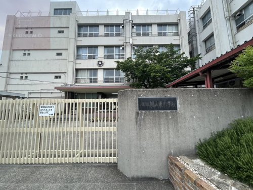 小学校　大阪市立加美東小学校（小学校）まで357m