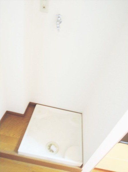 ヴィヴィエンダハナのその他写真