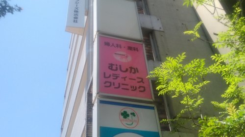 病院　むしかレディースクリニック（病院）まで124m