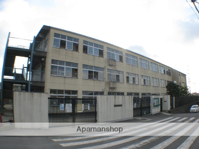 小学校　孔舎衙小学校（小学校）まで224m