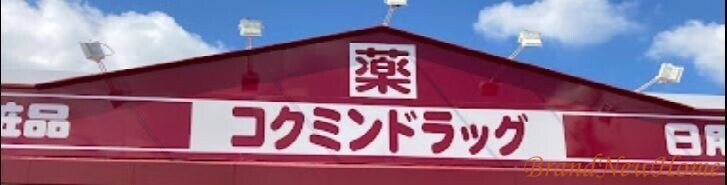 【堺市堺区中田出井町のアパートのドラックストア】