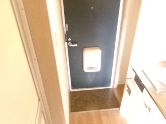 玄関　玄関※他号室の参考写真となります