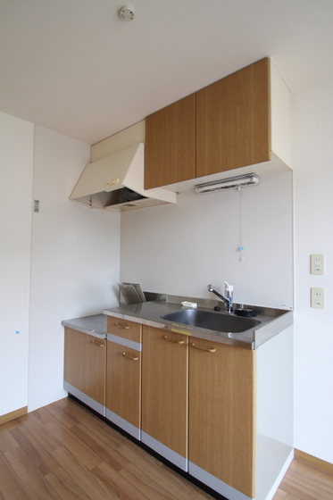 キッチン　※他号室の写真です