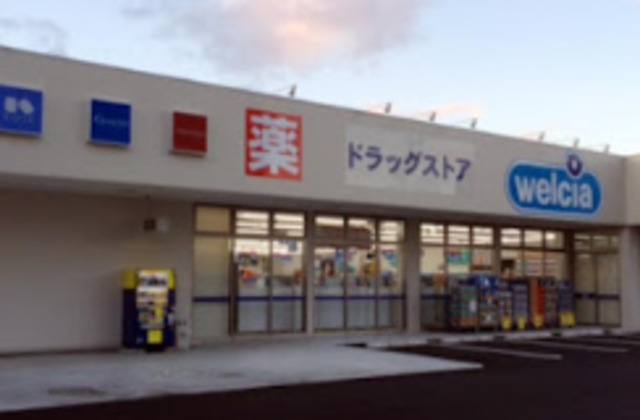 ドラックストア　ウエルシア八尾上尾店、街の味方（ドラッグストア）まで1399m