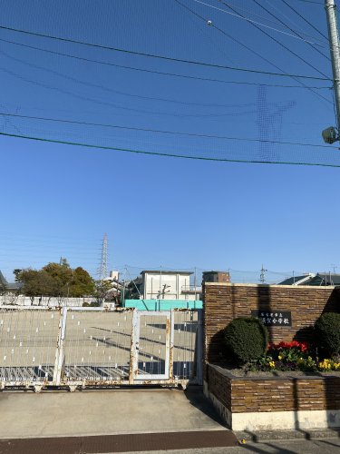 小学校　名古屋市立長須賀小学校（小学校）まで347m