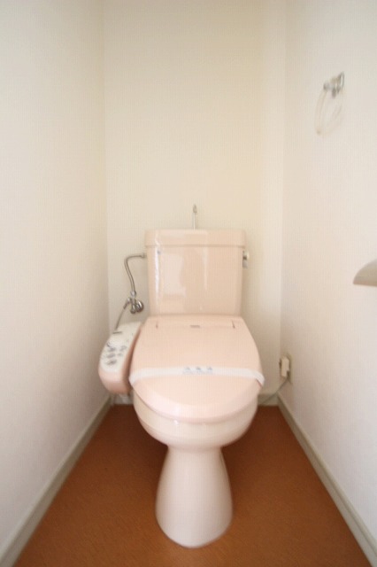 トイレ　同物件、別号室のものです。