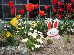 幼稚園・保育園　姫路市立　青山幼稚園（幼稚園・保育園）まで1539m