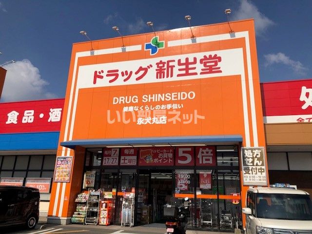 ドラックストア　ドラッグ新生堂　永犬丸店（ドラッグストア）まで1252m