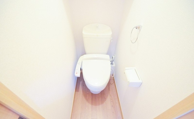 トイレ　写真は別室のものになります。