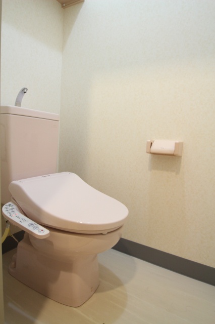 トイレ　同物件別号室の写真です。