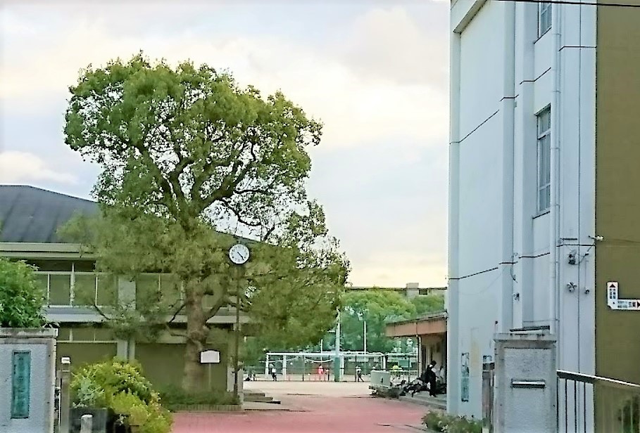 中学校　京都市立四条中学校（中学校）まで839m