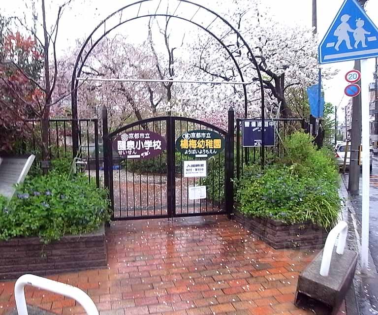 幼稚園・保育園　楊梅幼稚園（幼稚園・保育園）まで700m