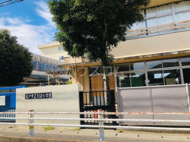 小学校　松戸市立矢切小学校（小学校）まで719m