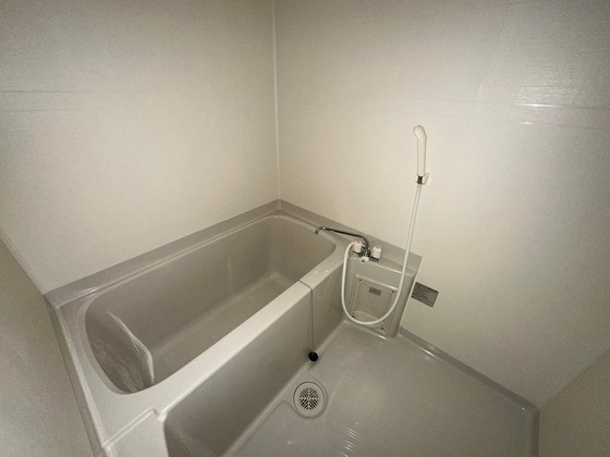 バス・シャワールーム　※別部屋の写真です