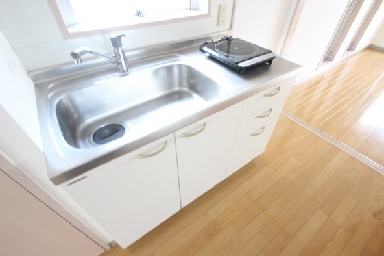 キッチン　※別号室の写真です