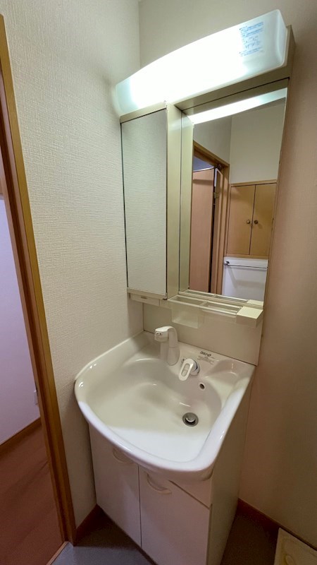 洗面設備　お掃除にも便利なシャワードレッサー