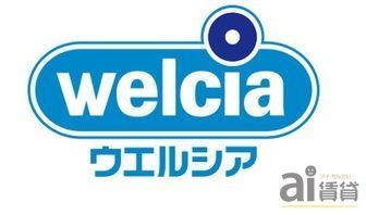 ドラックストア　ウエルシア小平上水本町店（ドラッグストア）まで540m