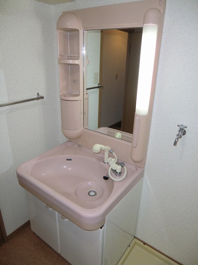 洗面設備　シャンプードレッサー※別号室の写真になります。