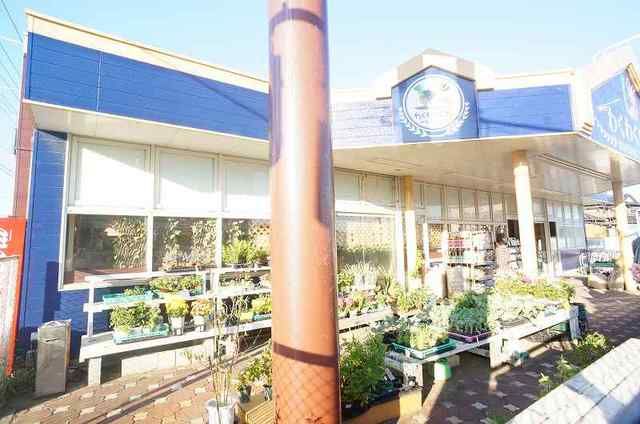 スーパー　わくわく広場（スーパー）まで1000m